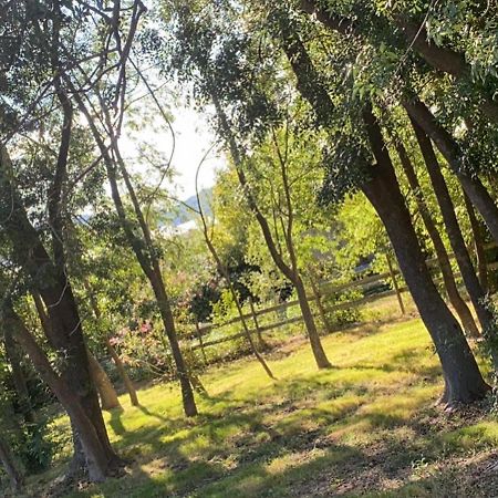 Chalet En Pleine Nature La Roquette-sur-Siagne Zewnętrze zdjęcie