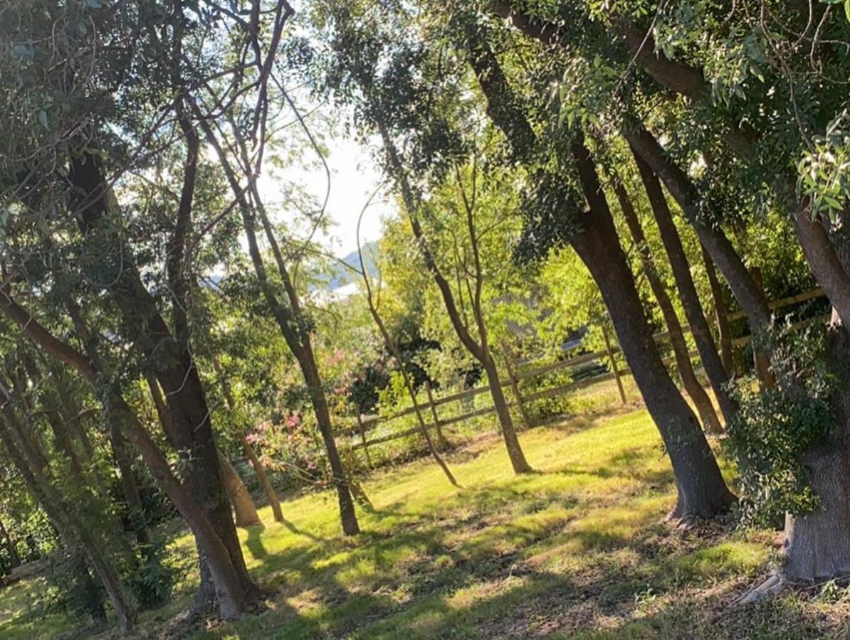 Chalet En Pleine Nature La Roquette-sur-Siagne Zewnętrze zdjęcie